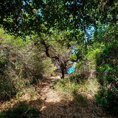 Rikia Seaside House بيت للعطل *