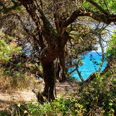 Rikia Seaside House كوستا نافارينو