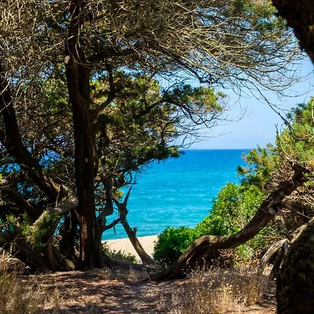 بيت للعطل Rikia Seaside House كوستا نافارينو