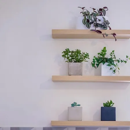 Rikia Seaside House *