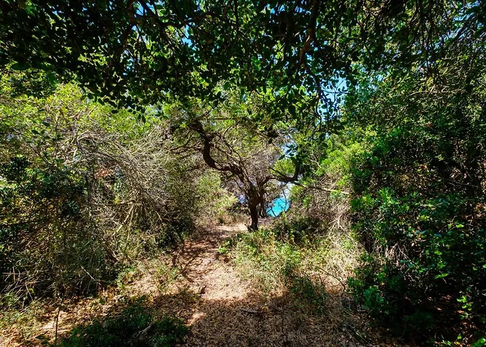 Rikia Seaside House 別荘 *