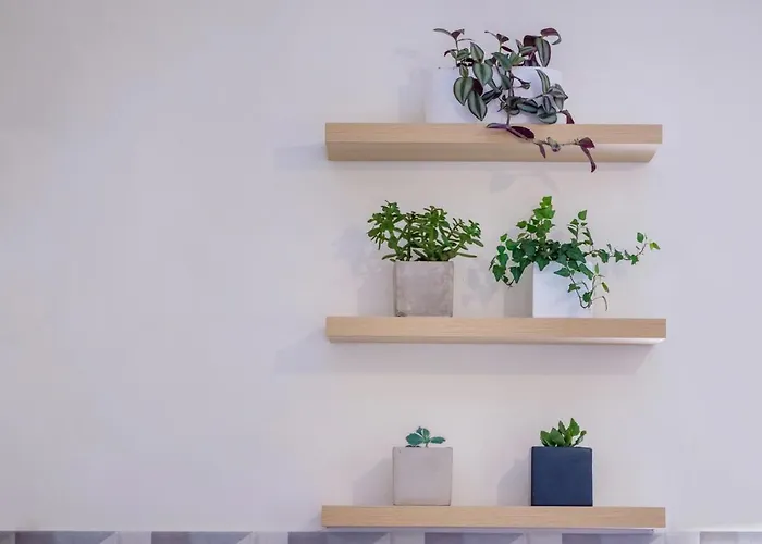 Rikia Seaside House *