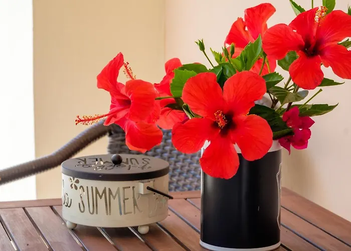 Rikia Seaside House * Costa Navarino